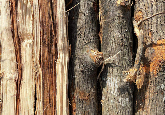 Kiln dried Hickory wood for grilling