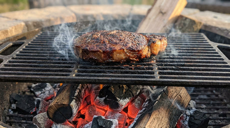 Charcoal vs. Gas: Why Wood Wins (The Truth) | Arteflame