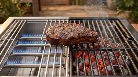 Egg Charcoal Grill vs. Gas (Expert Guide) | Arteflame