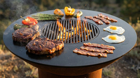 Weber Grates vs Arteflame Insert: The Truth | Arteflame